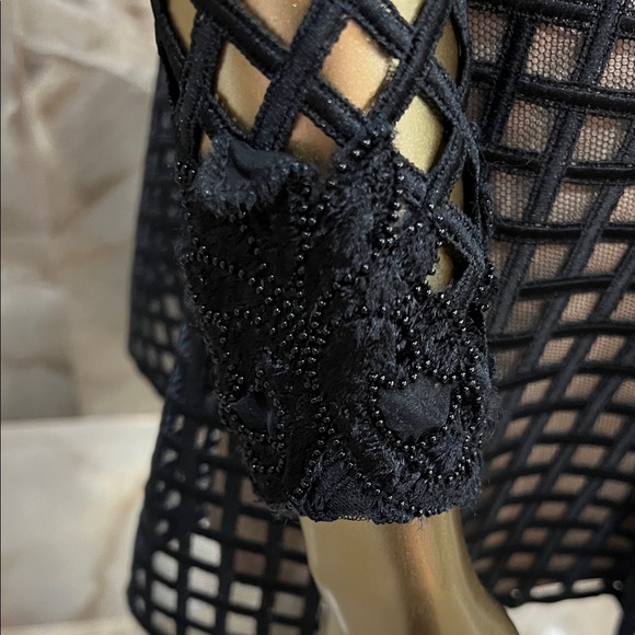 Thurley Black Mesh Lace Dress - Picture 5 of 12